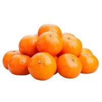 Top Quality Fresh Mandarin Origin Tangerine