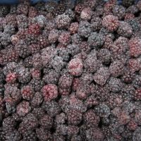 Frozen Fresh Blackberry Wild Unsweetened Blackberries