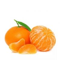 Wholesale Orange Fresh Citrus Fruit Fresh