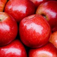 2025 Bulk Apples Whole Sale Fresh