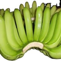 Wholesale 100% Fresh Cavendish Banana Sweet