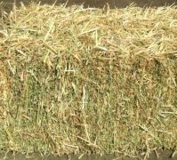 Premium Alfalfa Hay, Rhodes Grass, Oats