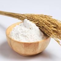 Wholesale Raw Material Vital Wheat Gluten