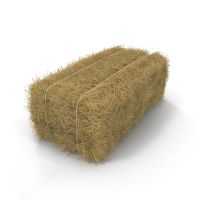 Dried Wheat Straw For Farm Animals