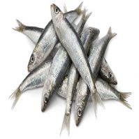 Wholesale Best Selling Supplier Delicious Natural