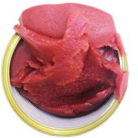 Good Quality Ketchup Fresh Tomato Paste Canned French Fries Dipping Sauce Food Canned Tomato Paste From USA