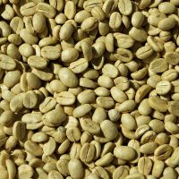 High Quality Robusta Green Coffee Bean Made In Vietnam Single Origin Best Quality Coffee Beans For Export High Quality Robusta Green Coffee Bean Made In Vietnam Single Origin Best Quality Coffee Beans For Export