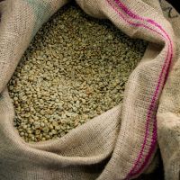 High Quality Robusta Green Coffee Bean Made In Vietnam Single Origin Best Quality Coffee Beans For Export High Quality Robusta Green Coffee Bean Made In Vietnam Single Origin Best Quality Coffee Beans For Export