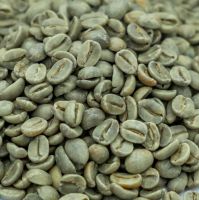 High Quality Robusta Green Coffee Bean Made In Vietnam Single Origin Best Quality Coffee Beans For Export High Quality Robusta Green Coffee Bean Made In Vietnam Single Origin Best Quality Coffee Beans For Export