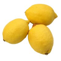 Fresh Fruits Wholesale Best Price Fresh