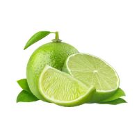 Fresh Yellow Lemons