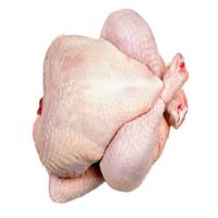 High Quality Frozen Whole Chicken Frozen
