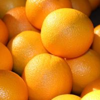 Fresh Mandarin Orange/egypt Oranges
