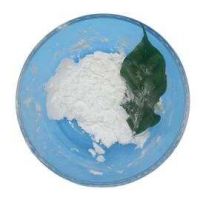 Bulk Price Food Grade Gelatin Powdered Edible Gelatin A versatile gelatin suitable for various culinary applications, available in bulk quantities. From USA