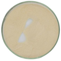 Nisin Factory Supply Best Price Food Additives Flavoring Agents Dried Style Food Grade Preservative Powder From USA