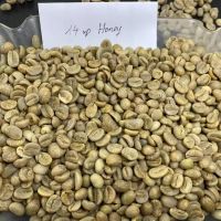 Top Selling Vietnam Green Coffee Beans Robusta Arabica Raw Coffee Beans Competitive Price For Import Ready To Ship Top Selling Vietnam Green Coffee Beans Robusta Arabica Raw Coffee Beans Competitive Price For Import Ready To Ship