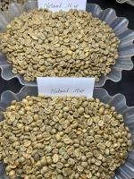 Top Selling Vietnam Green Coffee Beans Robusta Arabica Raw Coffee Beans Competitive Price For Import Ready To Ship Top Selling Vietnam Green Coffee Beans Robusta Arabica Raw Coffee Beans Competitive Price For Import Ready To Ship