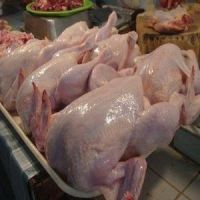 Primex Farm  Whole Frozen chicken from Ukraine