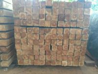 Timber Raw Materials From South Africa