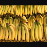 Fresh bananas From South Africa