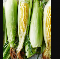 Corn