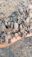Palm Kernel Shell