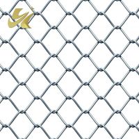 Chain Link Fence From China