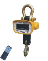 CRANE SCALE
