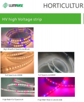 Professional 1000W Horticultural Lighting Grow Light