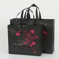 Non Woven Bags 