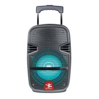 Chinese 8&#039;&#039; Portable Trolly Speaker Supplier BK-2281