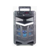 China Portable Subwoofer Speaker without Trolley BK-N810