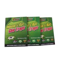 Glue Trap Adhesive Mice Mouse Board