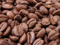 coffee powder and coffee seeds 