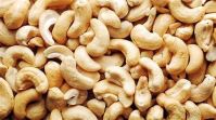 Cashew Nuts, Pistachios Nuts, Walnuts, Almonds, Betel Nuts