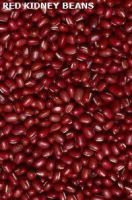 Soybeans, Kidney Beans, Black Beans, Fresh Beans, Mung Beans, Other Beans  