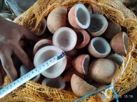indonesia white copra