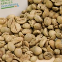 Java Robusta Green Coffee Beans : Polish