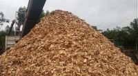 Wood Chips High Quality