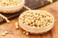 NON GMO Soyabean