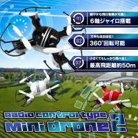 RS-G950 radio-controlled mini drone