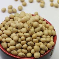 Soybeans