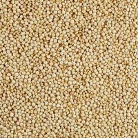 Quinoa seeds for export