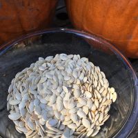 organic Pumpkin Seeds