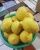 Quality Fresh Eureka Lemon From South Africa