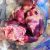 Frozen Chicken Heart