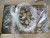 QUALITY ABALONE MEAT