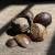 Nutmeg, Whole Nutmeg, Ground Nutmeg, For Wholesale and Export