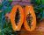 Best Fresh Papaya
