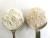 White wheat flour